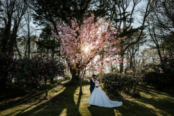 Spring wedding offers from Tredudwell Manor
